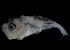  ( - MFLVI3393)  @11 [ ] Unspecified (default): All Rights Reserved  Jose Angel Cohuo Unspecified