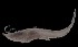  ( - MFLVI4192)  @12 [ ] Unspecified (default): All Rights Reserved (2011) Jose Angel Cohuo El Colegio de la Frontera Sur