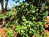  ( - veg015)  @11 [ ] Unspecified (default): All Rights Reserved  Unspecified Unspecified