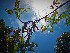  ( - veg024)  @11 [ ] Unspecified (default): All Rights Reserved  Unspecified Unspecified