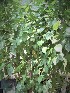  ( - veg046)  @11 [ ] Unspecified (default): All Rights Reserved  Unspecified Unspecified