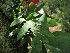  ( - veg061)  @11 [ ] Unspecified (default): All Rights Reserved  Unspecified Unspecified
