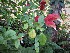  ( - veg074)  @11 [ ] Unspecified (default): All Rights Reserved  Unspecified Unspecified