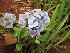  ( - veg081)  @11 [ ] Unspecified (default): All Rights Reserved  Unspecified Unspecified