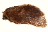  ( - TDGAB-0072)  @14 [ ] CreativeCommons - Attribution (2010) Unspecified Research Collection of Thibaud Decaens