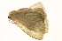 ( - TDGAB-0617)  @14 [ ] CreativeCommons - Attribution (2010) Unspecified Centre for Biodiversity Genomics