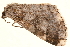  ( - TDGAB-0674)  @14 [ ] CreativeCommons - Attribution (2010) Unspecified Centre for Biodiversity Genomics