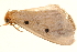  ( - TDGAB-0685)  @14 [ ] CreativeCommons - Attribution (2010) Unspecified Centre for Biodiversity Genomics