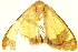  ( - TDGAB-1491)  @12 [ ] CreativeCommons - Attribution (2010) CBG Photography Group Centre for Biodiversity Genomics