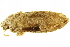  ( - TDGAB-1670)  @14 [ ] CreativeCommons - Attribution (2010) CBG Photography Group Centre for Biodiversity Genomics