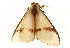  (Epanaphe - TDGAB-1139)  @14 [ ] CreativeCommons - Attribution (2010) Unspecified Centre for Biodiversity Genomics