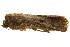  ( - TDGAB-1333)  @12 [ ] CreativeCommons - Attribution (2010) Unspecified Centre for Biodiversity Genomics