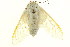  ( - TDGAB-1865)  @13 [ ] CreativeCommons - Attribution (2010) CBG Photography Group Centre for Biodiversity Genomics