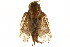  ( - TDGAB-1395)  @13 [ ] CreativeCommons - Attribution (2010) Unspecified Centre for Biodiversity Genomics