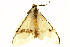  (Epanaphe - TDGAB-1915)  @14 [ ] CreativeCommons - Attribution (2010) CBG Photography Group Centre for Biodiversity Genomics