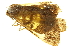  ( - TDGAB-2193)  @13 [ ] CreativeCommons - Attribution (2010) CBG Photography Group Centre for Biodiversity Genomics