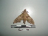  ( - TDGABb-0129)  @12 [ ] CreativeCommons - Attribution (2010) Unspecified Research Collection of Thibaud Decaens