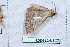 ( - Lope11-0127)  @13 [ ] Copyright (2011) Rodolpher Rougerie University of Rouen