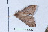  ( - Lope11-0389)  @12 [ ] Copyright (2011) Rodolpher Rougerie University of Rouen