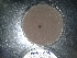  (Lasiodiplodia pseudotheobromae - BAB 3196)  @11 [ ] Copyright (2016) Gujarat Biodiversity Gene Bank, GSBTM, DST, GoG Gujarat Biodiversity Gene Bank, GSBTM, DST, GoG