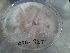  ( - BAB 3271)  @11 [ ] Copyright (2016) Gujarat Biodiversity Gene Bank, GSBTM, DST, GoG Gujarat Biodiversity Gene Bank, GSBTM, DST, GoG