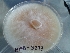  ( - BAB 3273)  @11 [ ] Copyright (2016) Gujarat Biodiversity Gene Bank, GSBTM, DST, GoG Gujarat Biodiversity Gene Bank, GSBTM, DST, GoG
