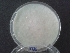  ( - BAB 3735)  @11 [ ] Copyright (2016) Gujarat Biodiversity Gene Bank, GSBTM, DST, GoG Gujarat Biodiversity Gene Bank, GSBTM, DST, GoG