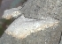  ( - BAB 3993)  @11 [ ] Unspecified (default): All Rights Reserved  Unspecified Unspecified