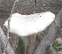  ( - BAB 3998)  @11 [ ] Unspecified (default): All Rights Reserved  Unspecified Unspecified