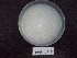  ( - BAB 4517)  @11 [ ] Copyright (2015) Gujarat Biodiversity Gene Bank, GSBTM, DST, GoG Gujarat Biodiversity Gene Bank, GSBTM, DST, GoG