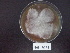  ( - BAB 4529)  @11 [ ] Copyright (2015) Gujarat Biodiversity Gene Bank, GSBTM, DST, GoG Gujarat Biodiversity Gene Bank, GSBTM, DST, GoG