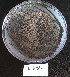  ( - BAB 4688)  @11 [ ] Copyright (2015) Gujarat Biodiversity Gene Bank, GSBTM, DST, GoG Gujarat Biodiversity Gene Bank, GSBTM, DST, GoG
