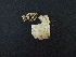  ( - BAB 5170)  @11 [ ] Copyright (2015) Gujarat Biodiversity Gene Bank, GSBTM, DST, GoG Gujarat Biodiversity Gene Bank, GSBTM, DST, GoG