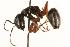  ( - CHU06-ANT-021)  @14 [ ] Unspecified (default): All Rights Reserved  Unspecified Unspecified