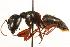  ( - CHU06-ANT-023)  @14 [ ] Unspecified (default): All Rights Reserved  Unspecified Unspecified