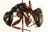  ( - CHU06-ANT-024)  @14 [ ] Unspecified (default): All Rights Reserved  Unspecified Unspecified