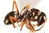  ( - CHU06-ANT-032)  @14 [ ] Unspecified (default): All Rights Reserved  Unspecified Unspecified