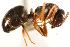  ( - CHU06-ANT-034)  @14 [ ] Unspecified (default): All Rights Reserved  Unspecified Unspecified