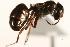  ( - CHU06-ANT-039)  @14 [ ] Unspecified (default): All Rights Reserved  Unspecified Unspecified