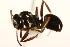  ( - CHU06-ANT-044)  @14 [ ] Unspecified (default): All Rights Reserved  Unspecified Unspecified