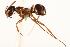  ( - CHU06-ANT-050)  @14 [ ] Unspecified (default): All Rights Reserved  Unspecified Unspecified