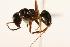  ( - CHU06-ANT-053)  @14 [ ] Unspecified (default): All Rights Reserved  Unspecified Unspecified