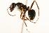  ( - CHU06-ANT-056)  @14 [ ] Unspecified (default): All Rights Reserved  Unspecified Unspecified