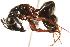  ( - CHU06-ANT-057)  @14 [ ] Unspecified (default): All Rights Reserved  Unspecified Unspecified