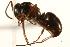  ( - CHU06-ANT-061)  @14 [ ] Unspecified (default): All Rights Reserved  Unspecified Unspecified