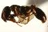  ( - CHU06-ANT-062)  @13 [ ] Unspecified (default): All Rights Reserved  Unspecified Unspecified