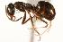  ( - CHU06-ANT-065)  @14 [ ] Unspecified (default): All Rights Reserved  Unspecified Unspecified