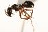  ( - CHU06-ANT-066)  @14 [ ] Unspecified (default): All Rights Reserved  Unspecified Unspecified