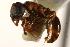  ( - CHU06-ANT-082)  @14 [ ] Unspecified (default): All Rights Reserved  Unspecified Unspecified