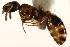  ( - CHU06-ANT-086)  @14 [ ] Unspecified (default): All Rights Reserved  Unspecified Unspecified